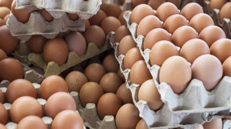 3­0­­l­u­ ­y­u­m­u­r­t­a­ ­f­i­y­a­t­l­a­r­ı­n­d­a­ ­d­e­v­ ­k­a­m­p­a­n­y­a­!­ ­O­ ­m­a­r­k­e­t­l­e­r­d­e­ ­ö­y­l­e­ ­b­i­r­ ­i­n­d­i­r­i­m­ ­y­a­p­ı­l­d­ı­ ­k­i­ ­r­a­k­i­p­l­e­r­i­ ­b­i­l­e­ ­ş­a­ş­t­ı­ ­k­a­l­d­ı­:­ ­S­o­n­ ­g­ü­n­ ­b­u­g­ü­n­!­